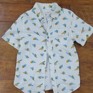 Colorful Dinosaur Print Kids Shirt